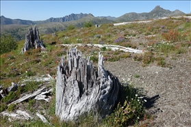 Mount St. Helens